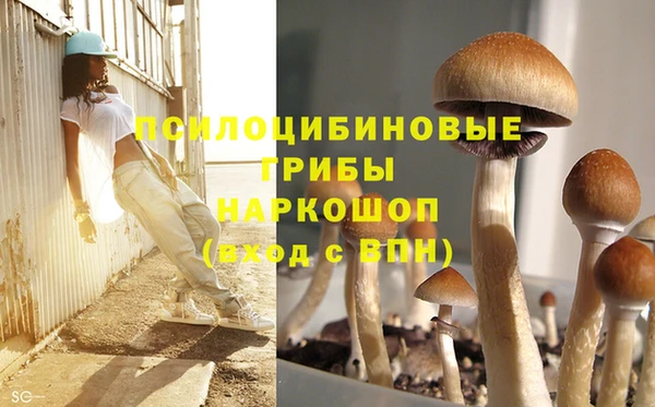 гашишное масло Аркадак